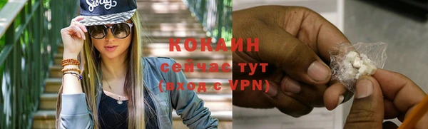 прущий лед Алзамай