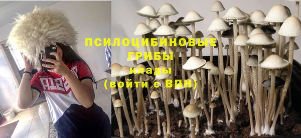 каннабис Алексин