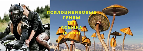 прущий лед Алзамай